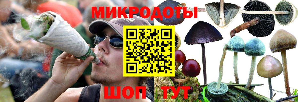 Гудермес  Псилоцибиновые грибы Magic Shrooms  Вход с VPN 